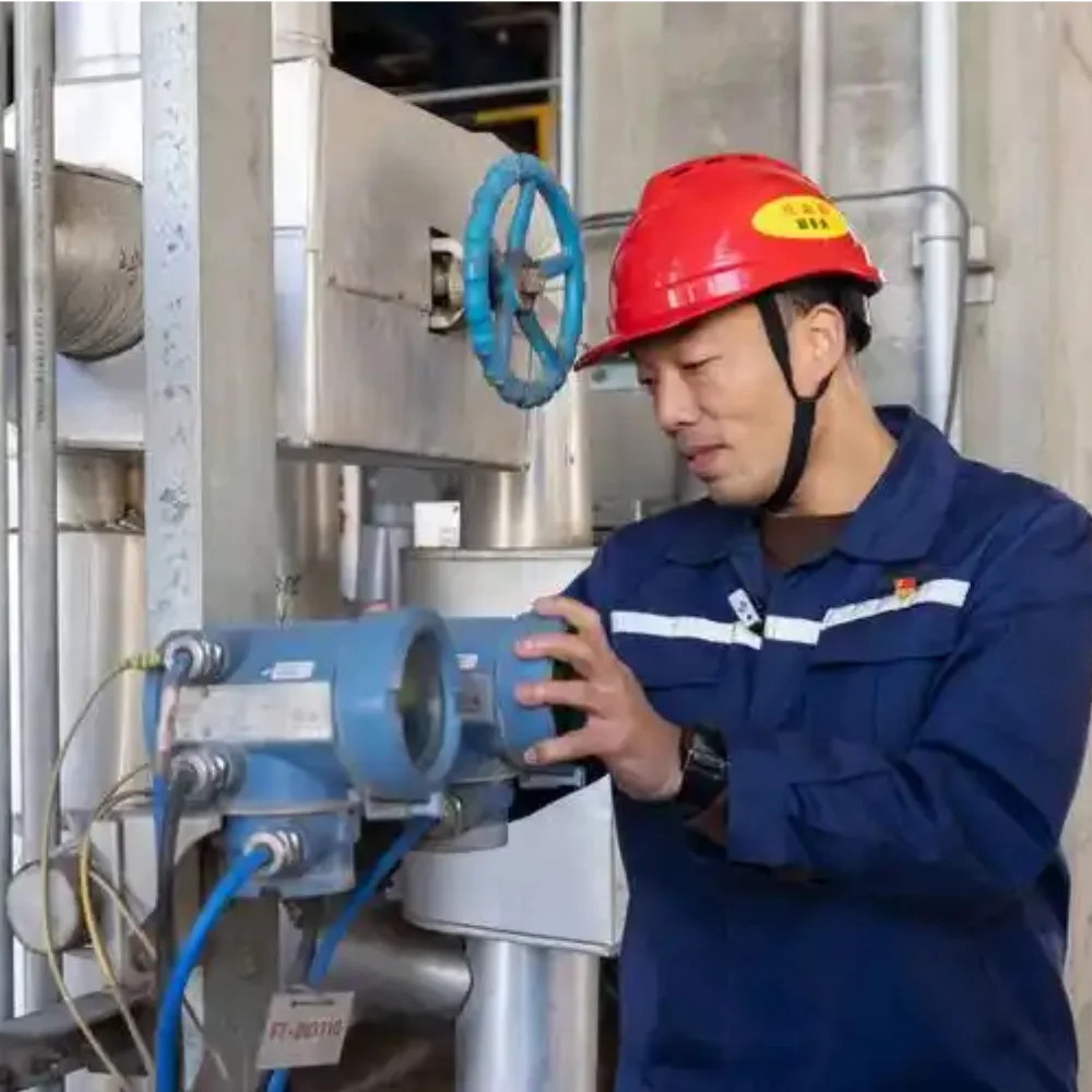 duweyintelli Lifecycle Services