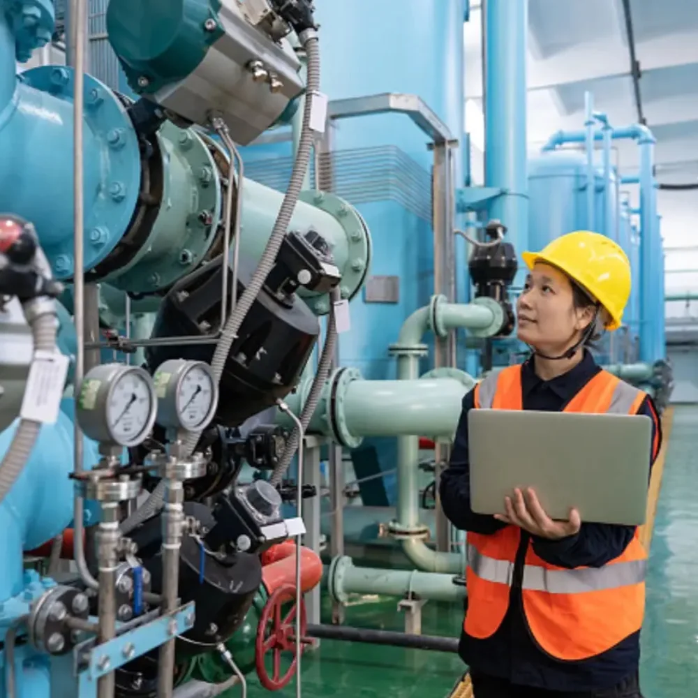 duweyintelli Project Services